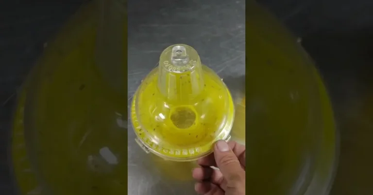 Misting Fan Water Mineral Buildup How to Prevent